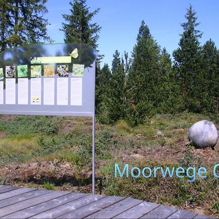 Ferienwohnung Schoene Auszeit Oy-Mittelberg Exterior foto