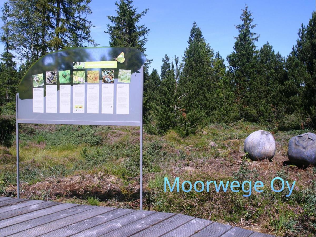 Ferienwohnung Schoene Auszeit Oy-Mittelberg Exterior foto